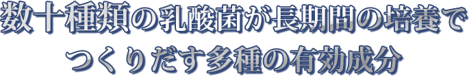 16種類の乳酸菌、酵母菌の作用により、長時間の培養